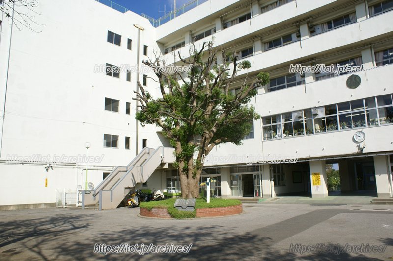 子どもたちの元気な声が響きわたる校舎