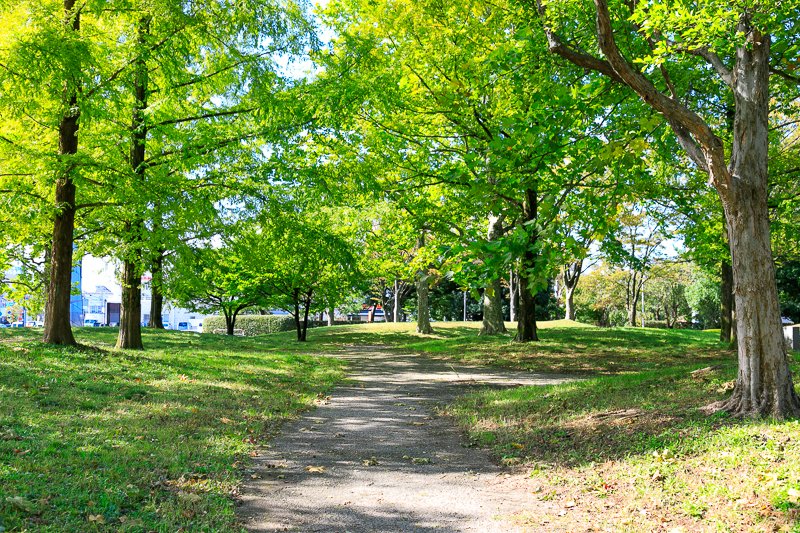 「城南公園」
