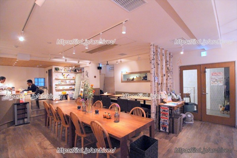 木の温もりが心地よい店内