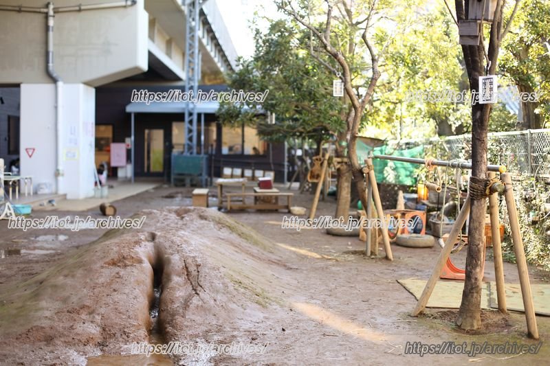 思いきりどろんこになって遊べる園庭