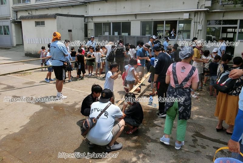 サマーキャンプで流しそうめんを楽しむ子どもたち