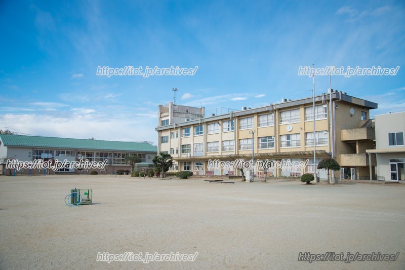 広々としたグラウンドで、子どもはのびのびと育つ