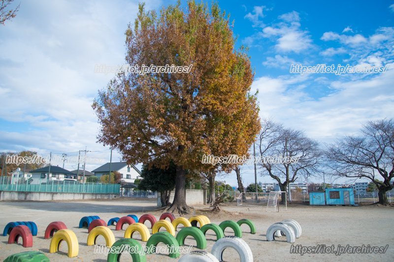 やわらかな雰囲気が流れる