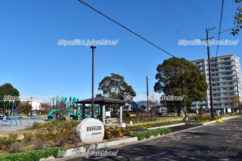 青木中央公園（藤枝市提供）