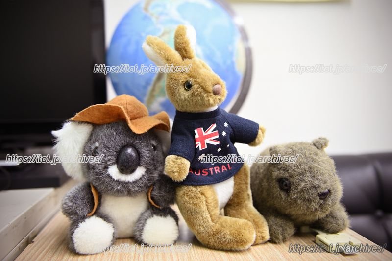 国際交流を楽しみ 異文化理解を深める