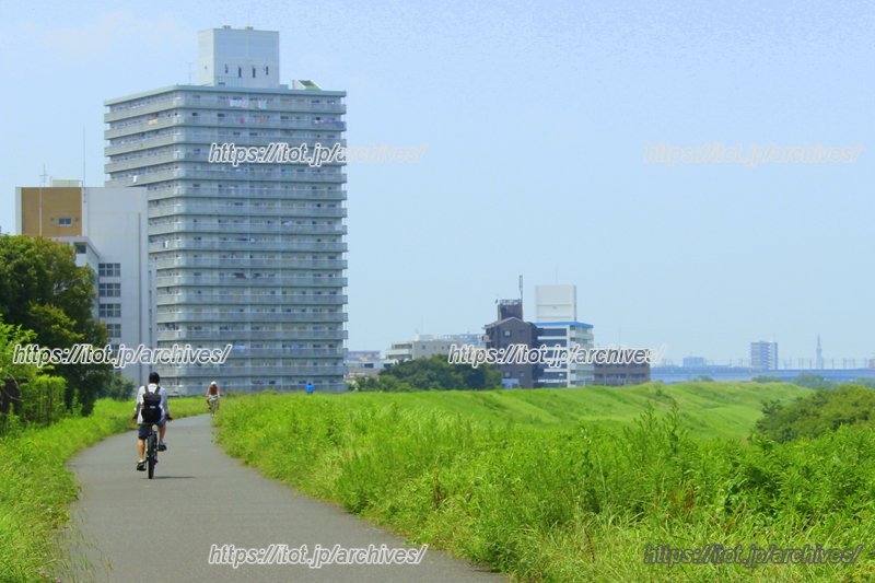 荒川沿いをサイクリング