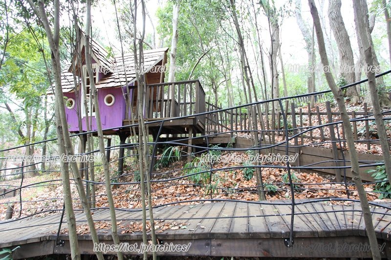 身近に広がる自然環境が、子ども達を豊かにはぐくむ