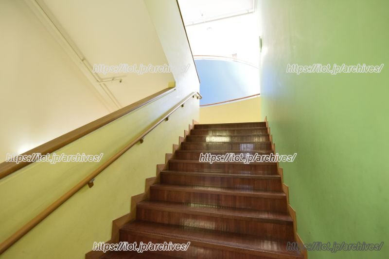 子どもたちの感性を養う木造の階段。自然の光も充分に入り開放感がある