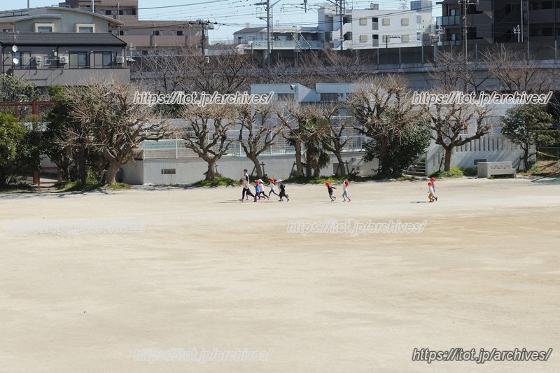 広々としたグラウンドでは、併設された保育園の園児たちも遊ぶ