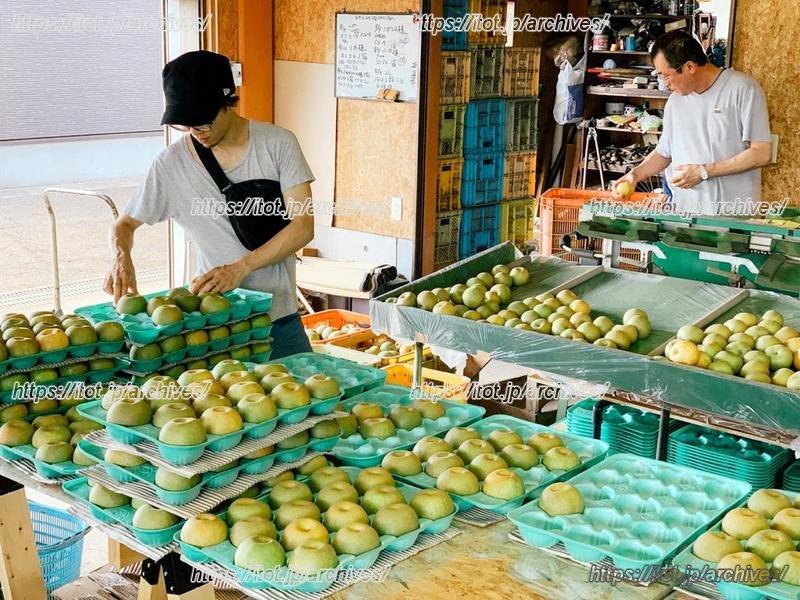 梨街道沿いにある果物農家「田中園」