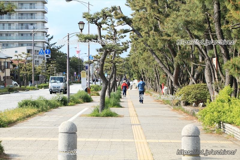 散歩・散策したくなる平塚の街並み
