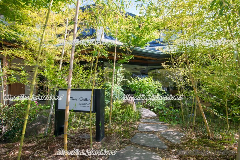 緑あふれる「カフェギャラリー」