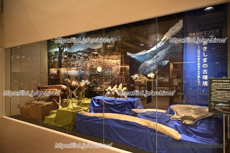 郷土資料室と図書館の共用壁の展示もある