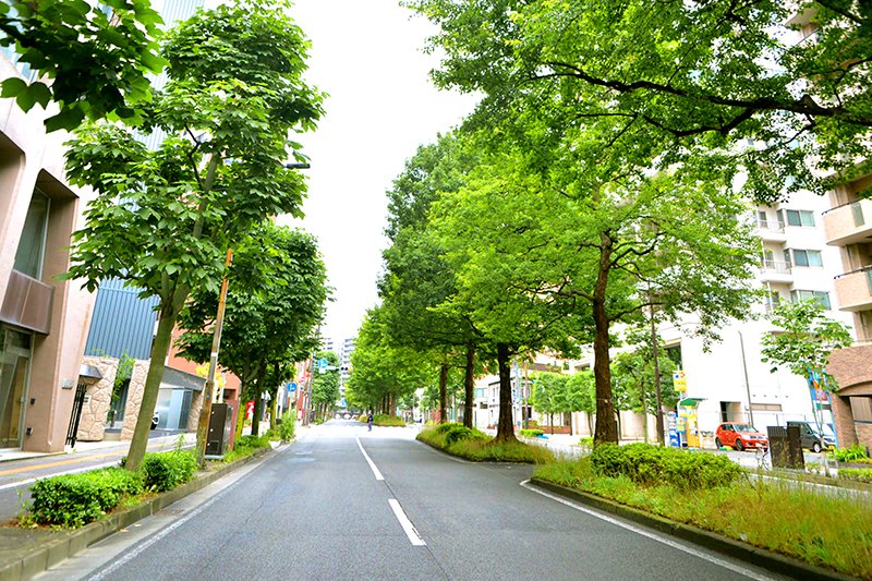 利便性と落ち着きのバランスがよい街