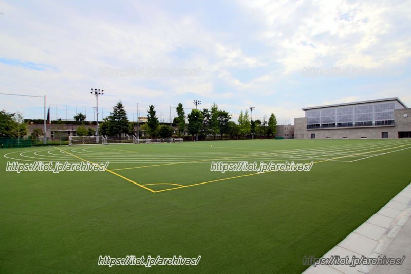 全面に人工芝を敷いた「グラウンド」