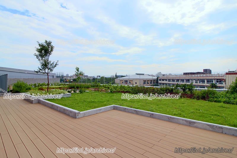 「理科テラス」