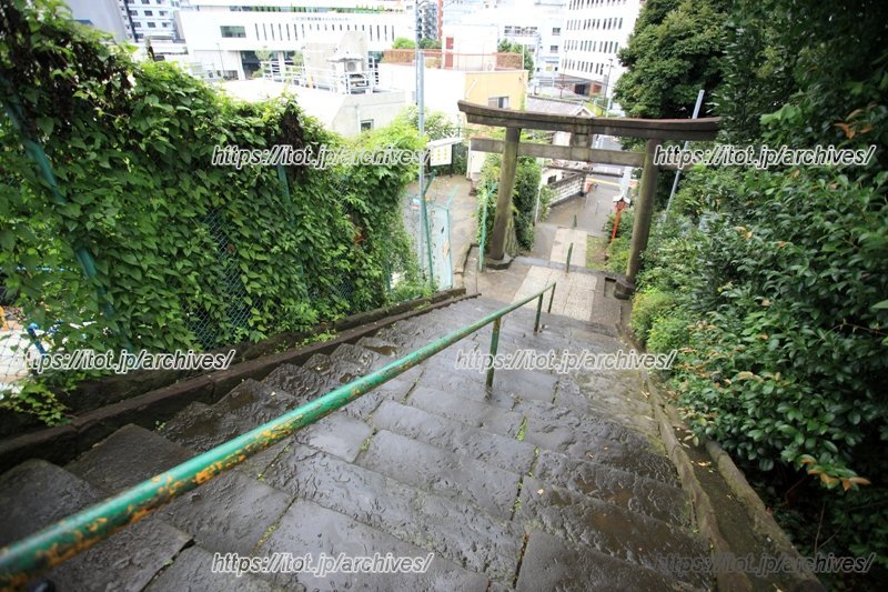 運動がてらの散歩にもちょうどいいかもしれない