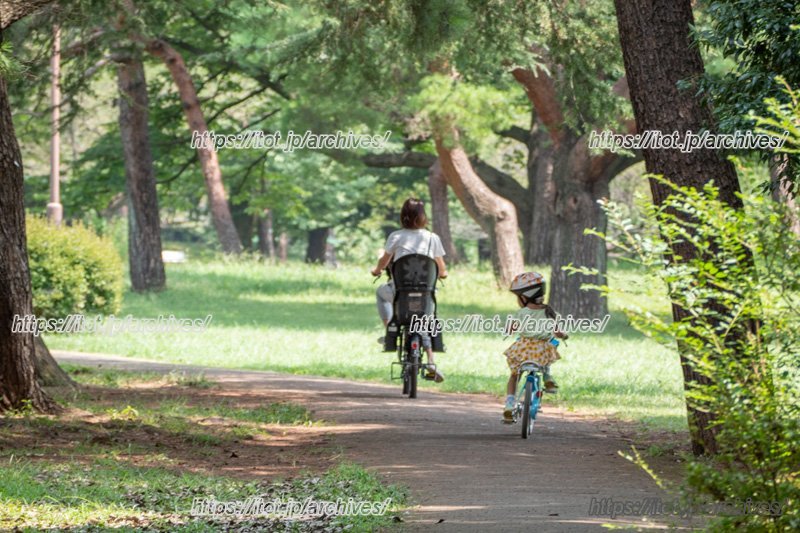 豊かな自然を感じられる「野川公園」