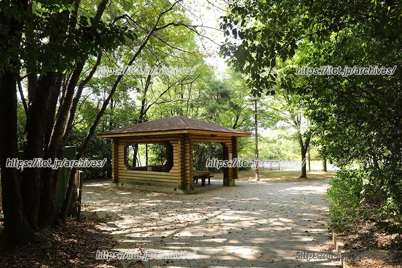 自然豊かな「猪高緑地」