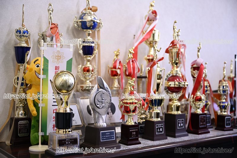 ずらりと並んだトロフィー