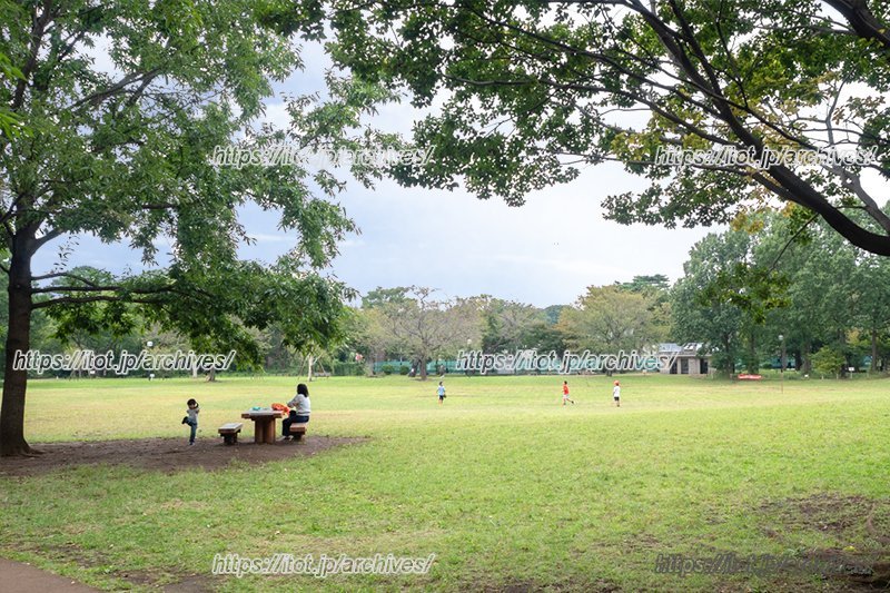 自然豊かな杉並区立柏の宮公園