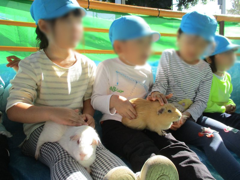 動物との触れ合い体験で心を育む