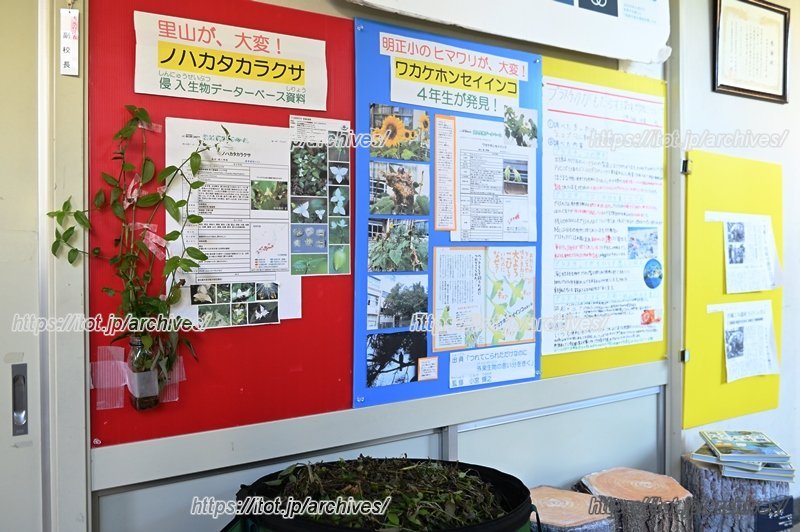 地域の問題として、外来種についての学び