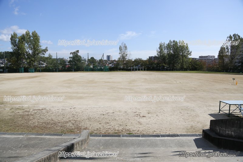 広大なグラウンド