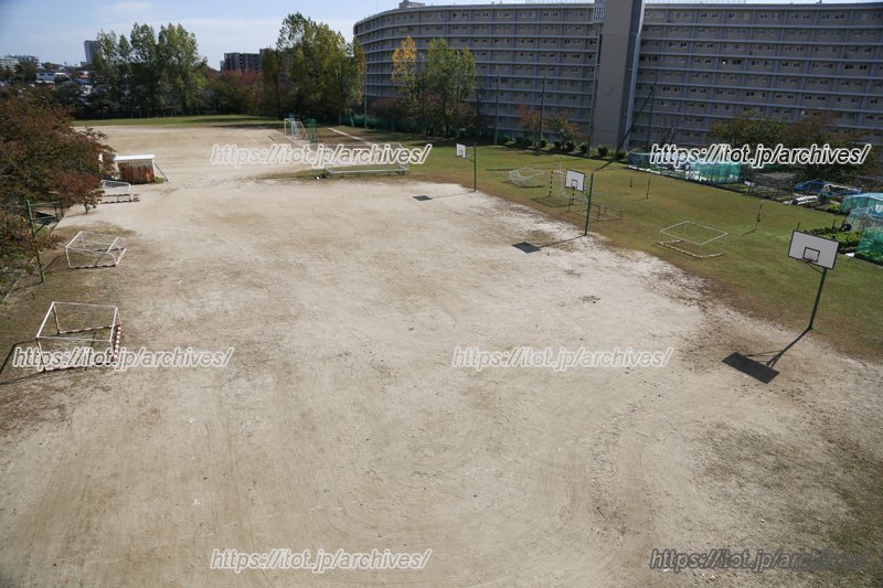 6つのバスケットゴールを有するサブグラウンド