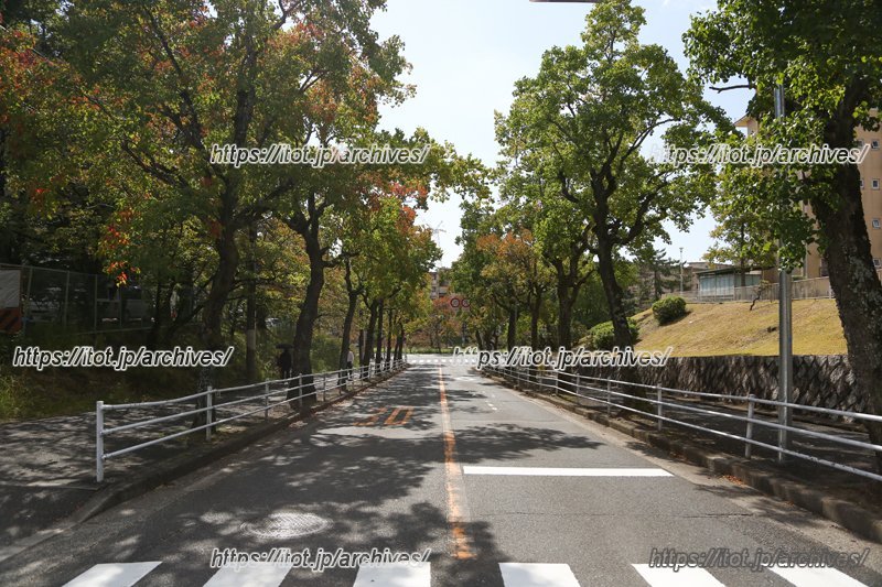 学校前の道路はきれいに整備