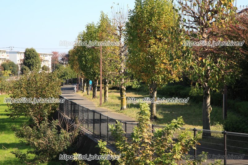 「空堀川遊歩道」