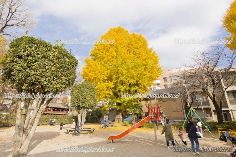 浦和エリアは、子育て世代も多い街。（写真は「浦和中央公園」）