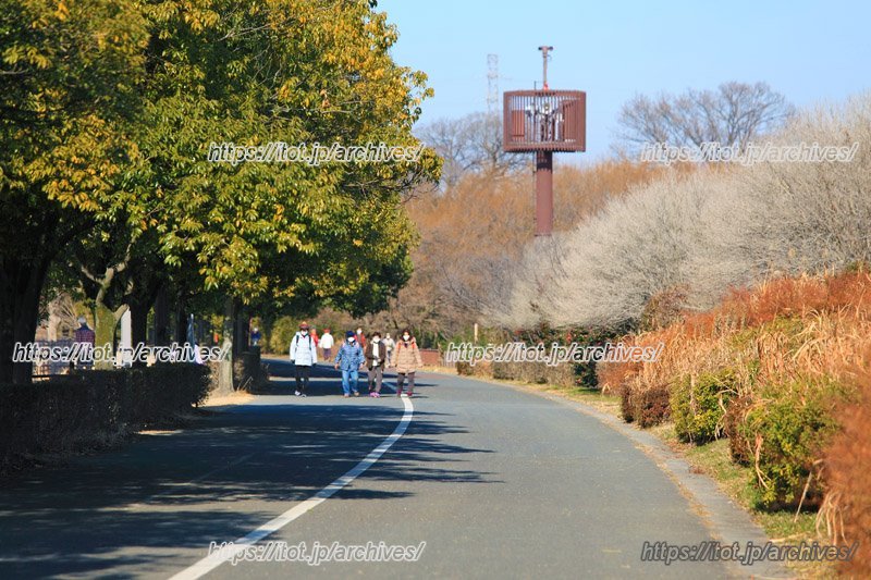 荒川の河川敷で水や生き物、スポーツに親しめる広大な市営公園／彩湖・道満グリーンパーク（埼玉県）