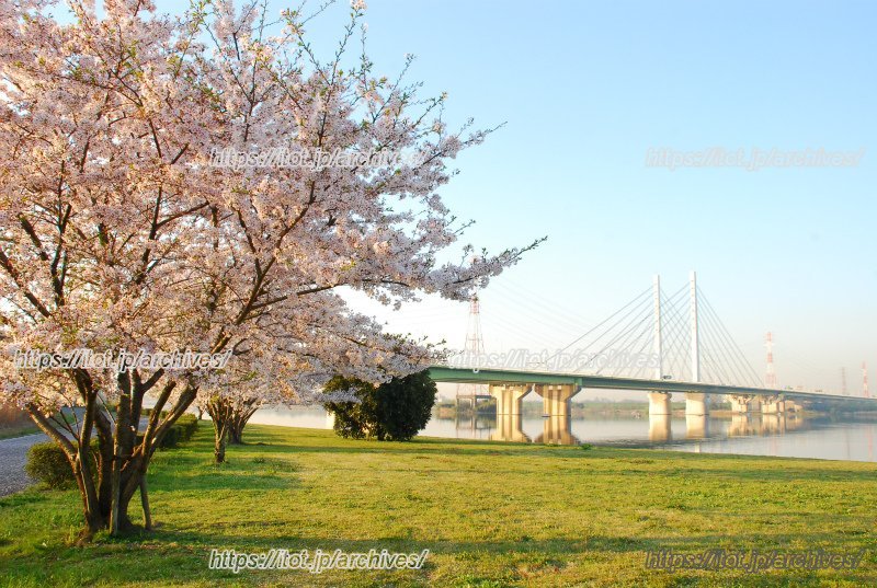 画像提供：「戸田市水と緑の公社」