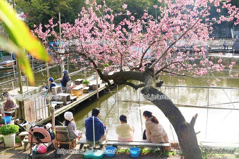 釣り場　画像提供：「戸田市水と緑の公社」