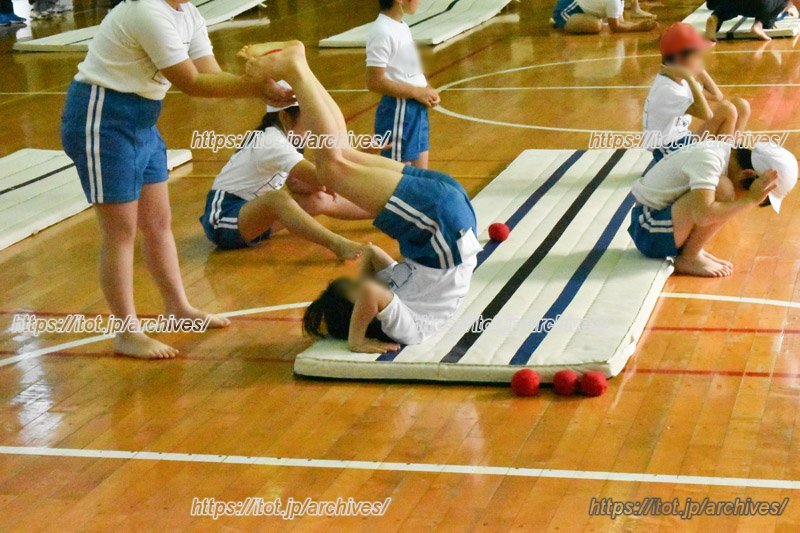 2019年度全国学校体育研究大会の様子