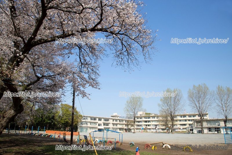 柏市立柏第三小学校 広い校庭