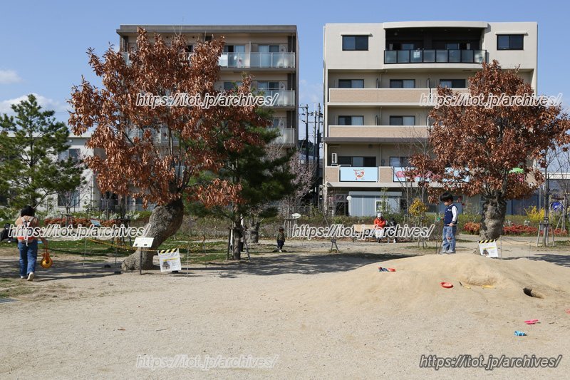 台場クヌギを移植した里山エリア