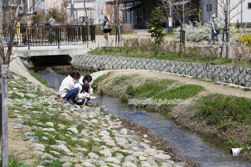 せせらぎ遊歩道