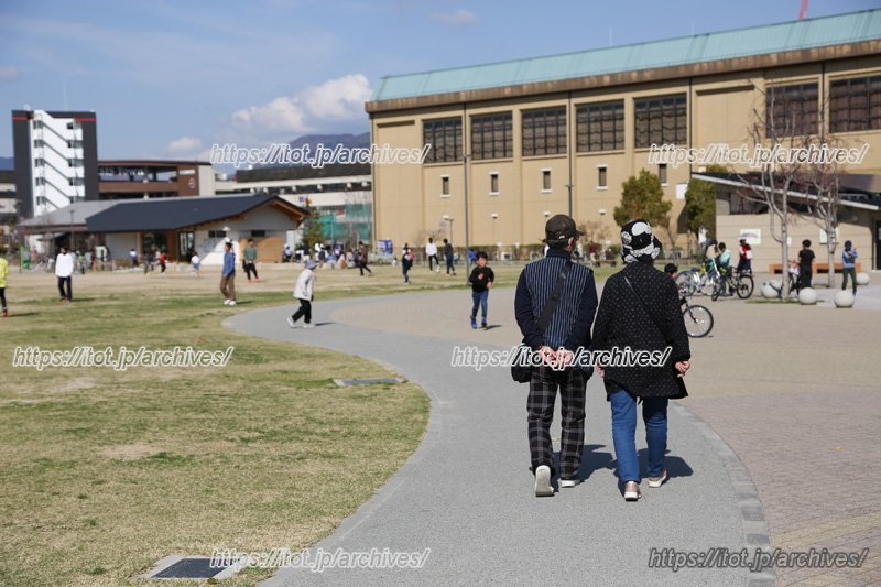 一周550mのジョギングコース