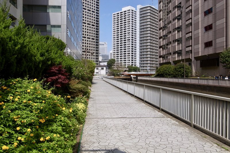 「新芝運河沿緑地」