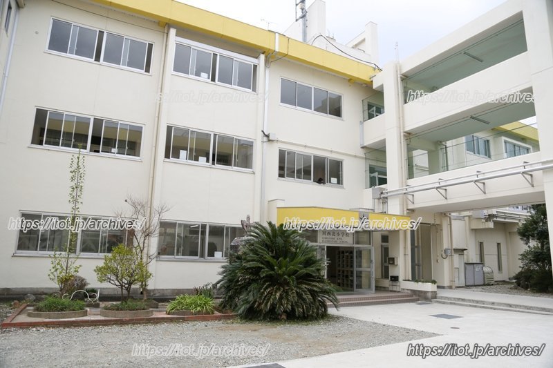 白と黄色を基調とした爽やかな校舎