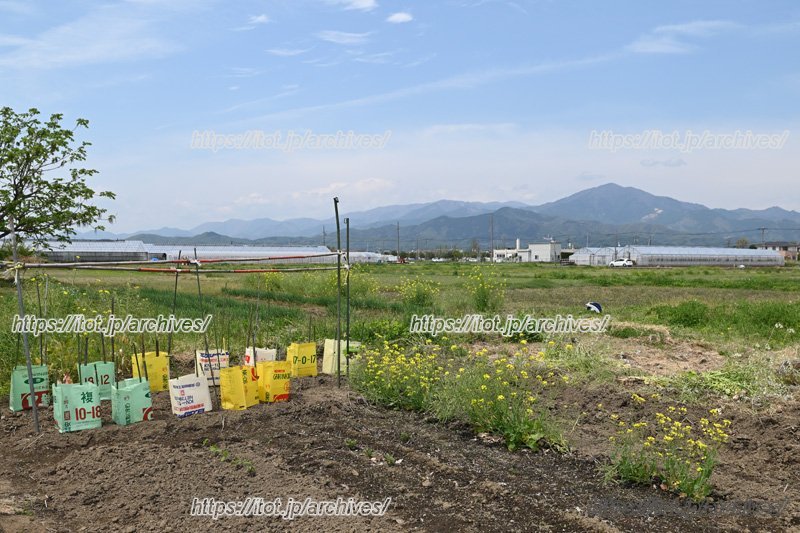 学校の所有する畑
