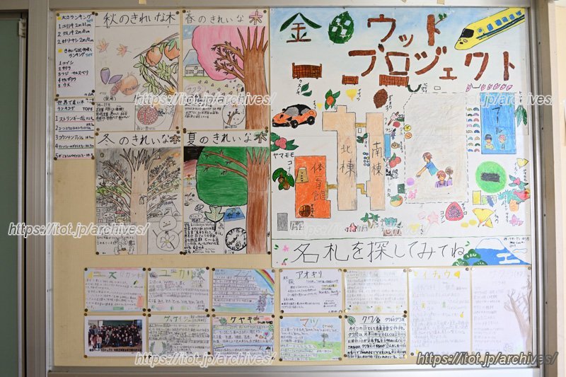 児童がまとめた「ウッドプロジェクト」