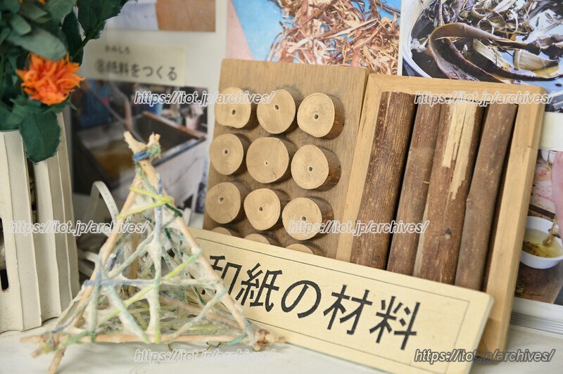 楮(こうぞ)のサンプル