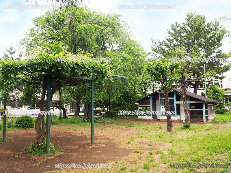 子供たちが大切に育てているうさぎの小屋