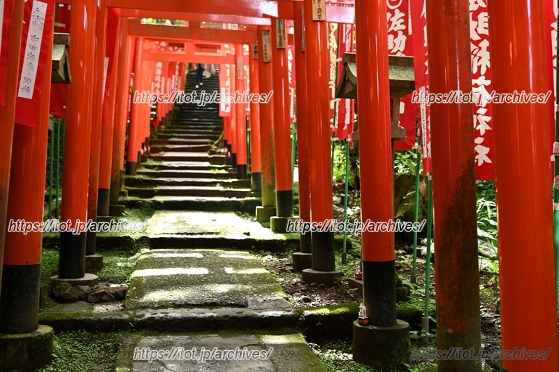 朝の静寂も心地よい「佐助稲荷神社」