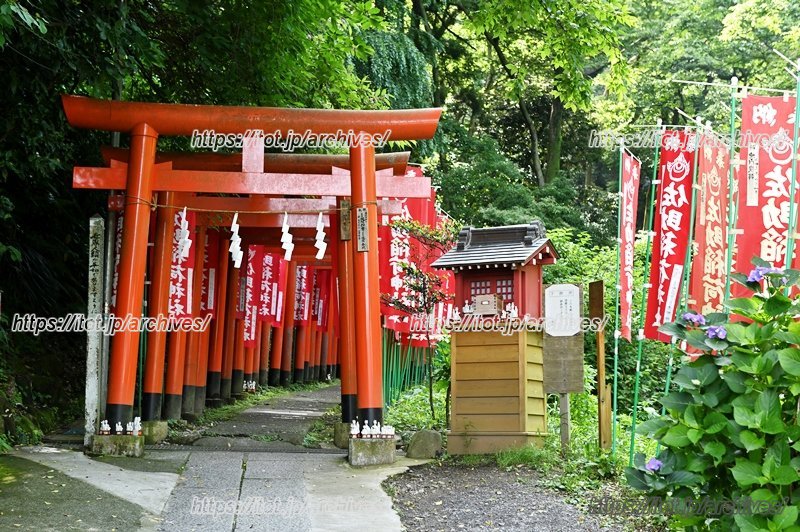散歩にもおすすめの「佐助稲荷神社」