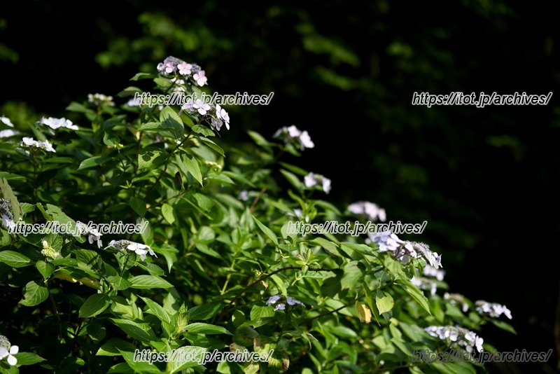 &ldquo;長く暮らすならこんな街がいい&rdquo;。そう思わせてくれる鎌倉・佐助