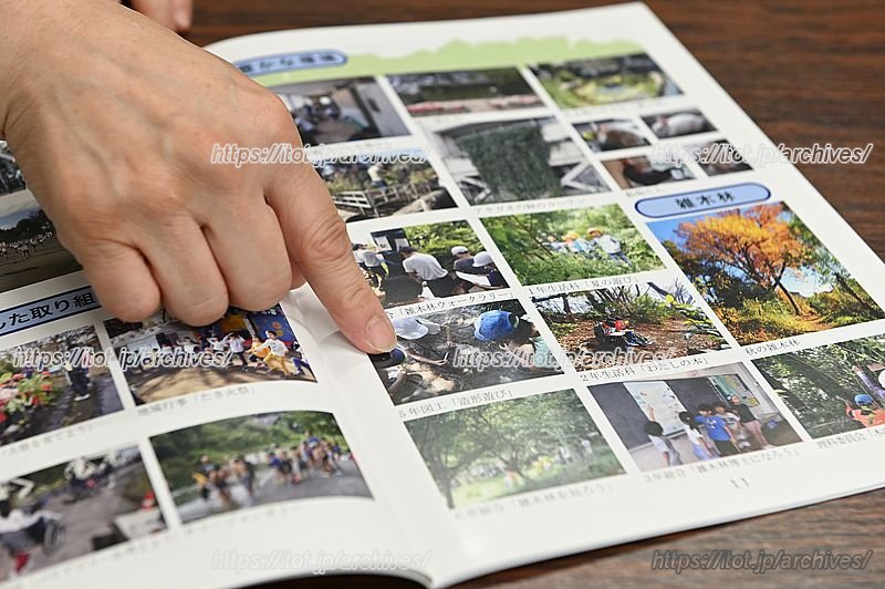 雑木林を活用した教育活動